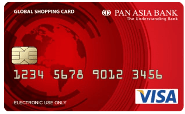 Visa Debit Card