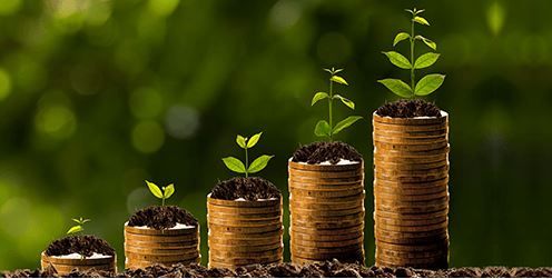 Fixed Deposit