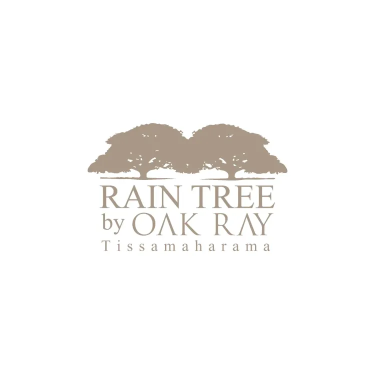 Rain Tree by Oak Ray - Thissamaramaya