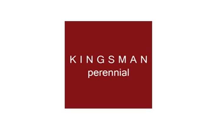 Kingsman Perennial